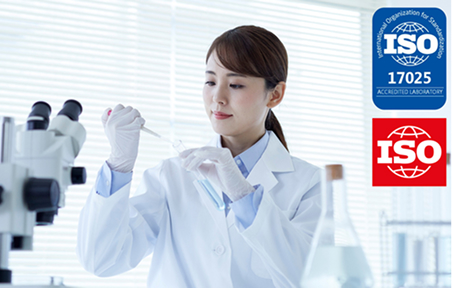 Cành nhánh quế trở thành hàng hóa, không chỉ dùng trong nước mà còn để xuất khẩu.